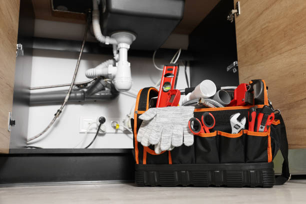 Best Commercial Plumbing Services  in Elk Mound, WI