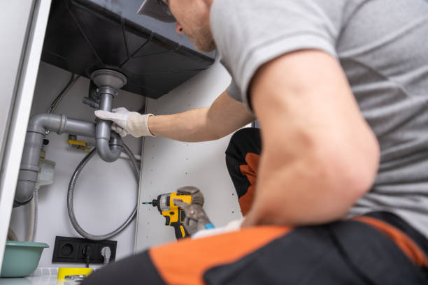 Best Plumbing Inspection Services  in Elk Mound, WI
